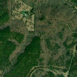 Bulgers Alabama High Resolution Satellite Map