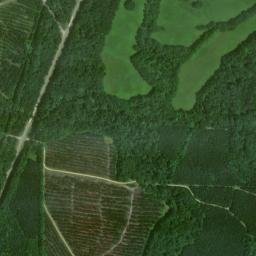 Ellards Alabama High Resolution Satellite Map