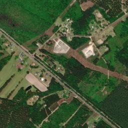 Daves Road, Varnville, SC 29944, USA High Resolution Satellite Map
