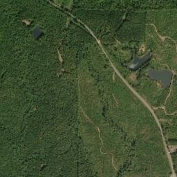 Dominick Alabama High Resolution Satellite Map