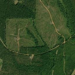 Brush Creek Alabama High Resolution Satellite Map