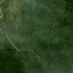 Oakmulgee Alabama High Resolution Satellite Map