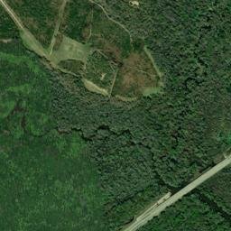 Jenkins County map(satellite map)