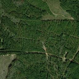 New Harmony Alabama High Resolution Satellite Map