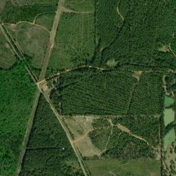 County Road 21, Greensboro, AL 36744 High Resolution Satellite Map