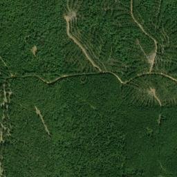 Hale County map(satellite map)