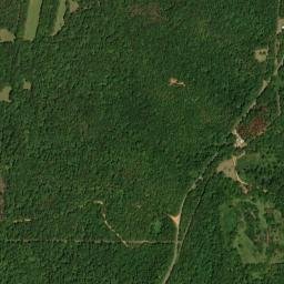 Adler Alabama High Resolution Satellite Map