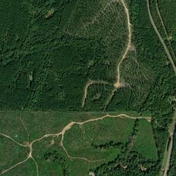 Highway 21, Equality, AL 36026, USA High Resolution Satellite Map