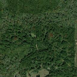 Jones Mill Alabama High Resolution Satellite Map