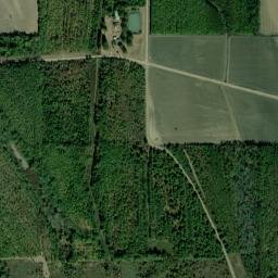East Carroll Parish map(satellite map)
