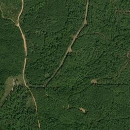 Curbville Alabama High Resolution Satellite Map