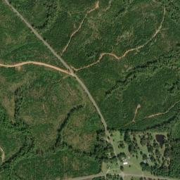 Buyck Alabama High Resolution Satellite Map