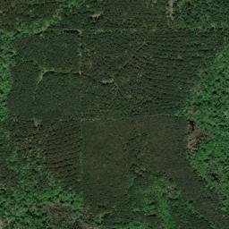 Bossier Parish map(satellite map)
