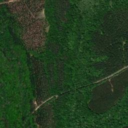 Twiggs County map(satellite map)
