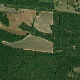 Lloyd Chapel Road, Forkland, AL 36740 High Resolution Satellite Map