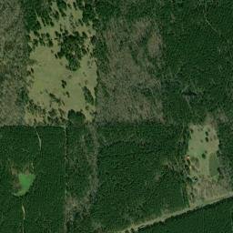 3254 MS-16 Canton MS 39046 High Resolution Satellite Map