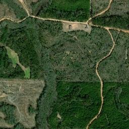 Bethel Grove Alabama High Resolution Satellite Map