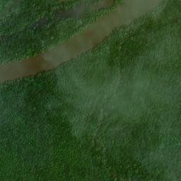 Brasfield Landing Alabama High Resolution Satellite Map