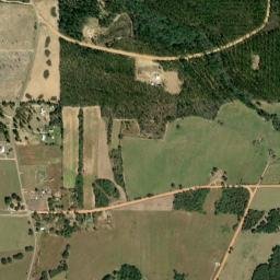 Browntown Alabama High Resolution Satellite Map