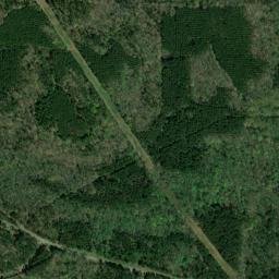 Lincoln Parish map(satellite map)