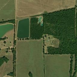 Coleman Alabama High Resolution Satellite Map