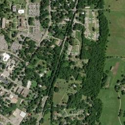 Livingston map(satellite map)