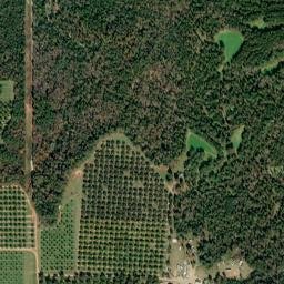 Peach County map(satellite map)