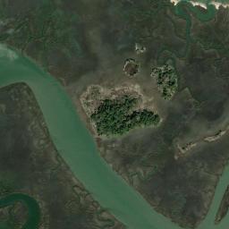 Satellite view of Fig Island