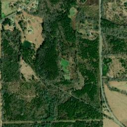 Golddust Alabama High Resolution Satellite Map