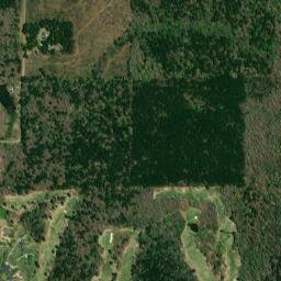 580-1298 Hodge Watson Road, Calhoun, LA High Resolution Satellite Map