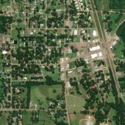 Flora map(satellite map)