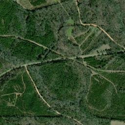 Bonita Alabama High Resolution Satellite Map