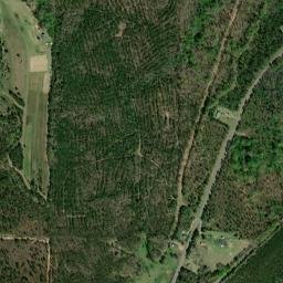 Violet Lane, Fort Valley, GA 31030 High Resolution Satellite Map