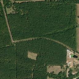 McDowell Alabama High Resolution Satellite Map