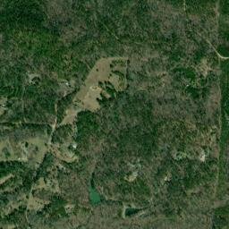 Hidden Forest Alabama High Resolution Satellite Map