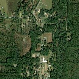 Buckville Alabama High Resolution Satellite Map