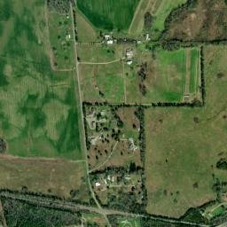 Alfalfa Alabama High Resolution Satellite Map