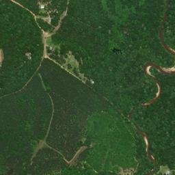 Augustin Alabama High Resolution Satellite Map