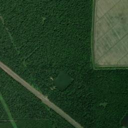 U.S. 80, Rayville, LA 71269, USA High Resolution Satellite Map