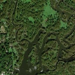 122 Tarhill Too Road, Doyline, LA 71023 High Resolution Satellite Map