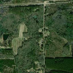 Clough Alabama High Resolution Satellite Map