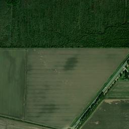U.S. 65, Tallulah, LA 71282, USA High Resolution Satellite Map