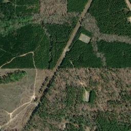 Par Road 300, Gibsland, LA 71028, USA High Resolution Satellite Map