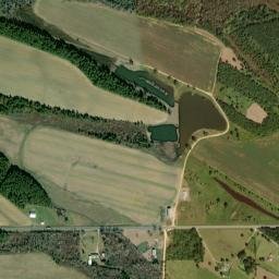 Forester Alabama High Resolution Satellite Map