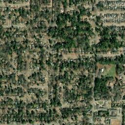 Dalraida Alabama High Resolution Satellite Map