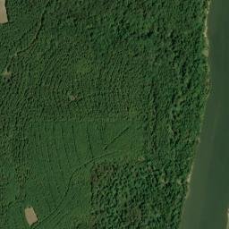 Deans Landing Alabama High Resolution Satellite Map