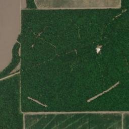 Madison Parish map(satellite map)