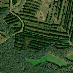 Liverpool Alabama High Resolution Satellite Map