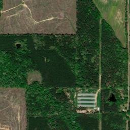 286 Barker Road, Morton, MS 39117, USA High Resolution Satellite Map