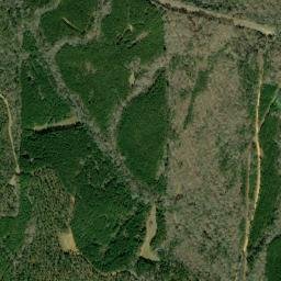 Uchee Alabama High Resolution Satellite Map